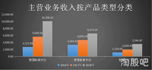 細分領域龍頭 無對手的軟件開發市場，潛力究竟有多大？
