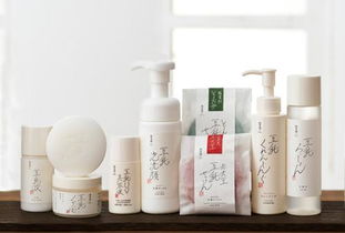 上海化妝品進(jìn)口報(bào)關(guān)代理 流程、費(fèi)用與代理服務(wù)詳解