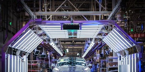 蔚來失守，誰能阻擋特斯拉的鐵蹄？